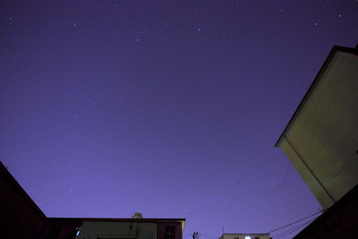 1251672567_MG_0027.JPG